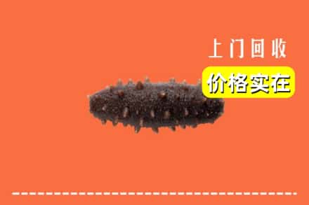 诚信求购:鄯善县高价回收海参