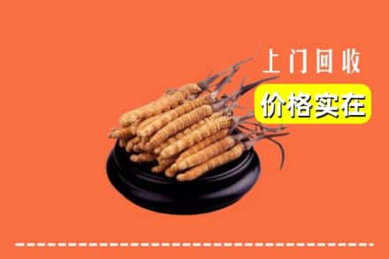 诚信求购:鄯善县高价回收冬虫夏草