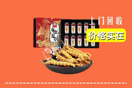 鄯善县回收虫草